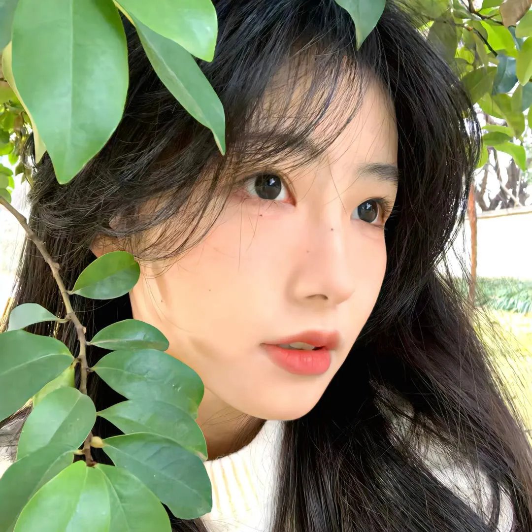 动物狂想曲第一季